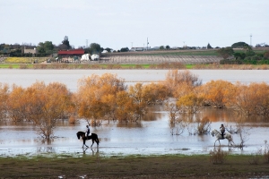 Laguna de los Tollos